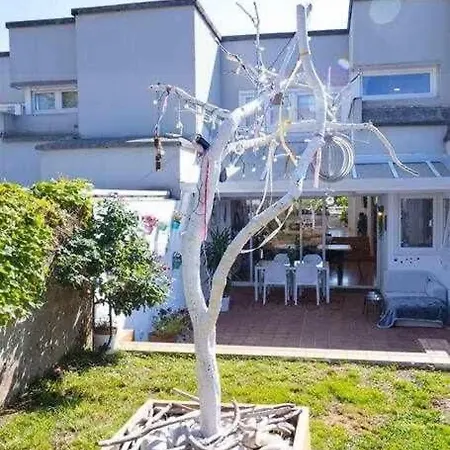 Arbol Blanco Llanera (Asturias)